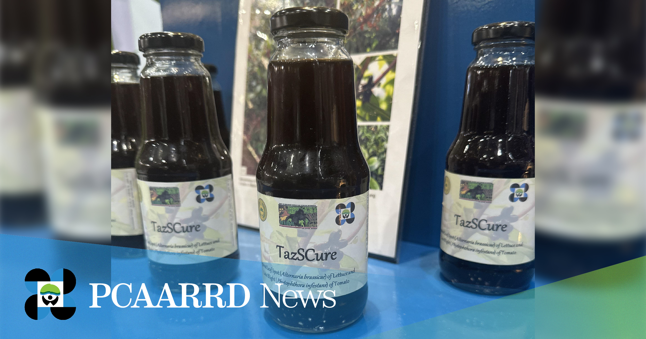 TazSCure: A natural, environment-friendly fungicide for vegetables